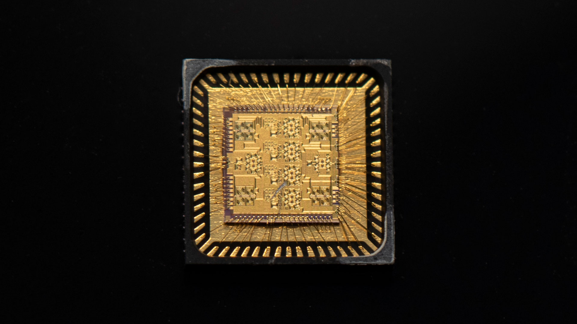 gold microchip on black background