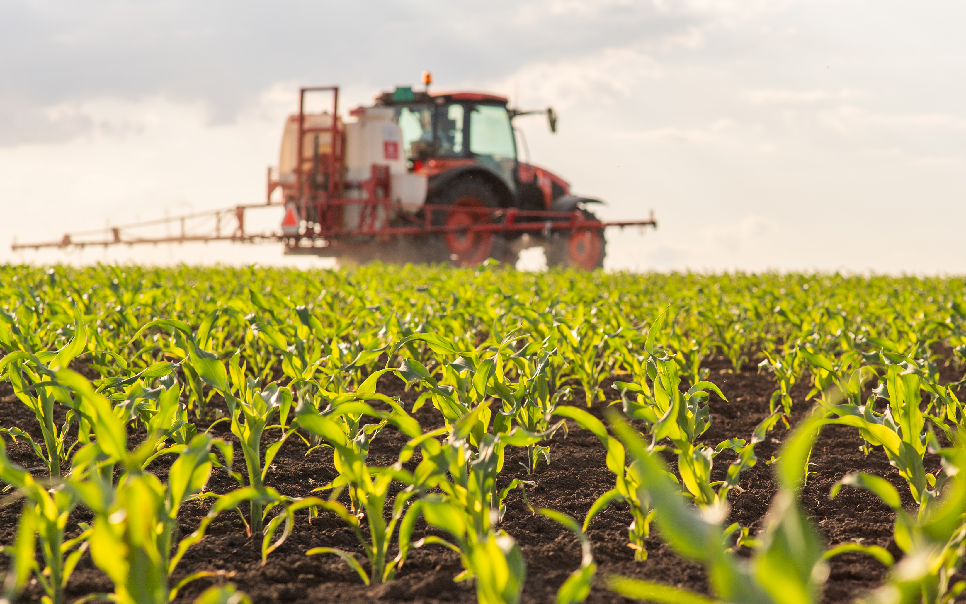 Tractor applies fertilizer to a crop field