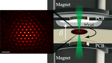 Individual-Ion Addressing and Readout in a Penning Trap