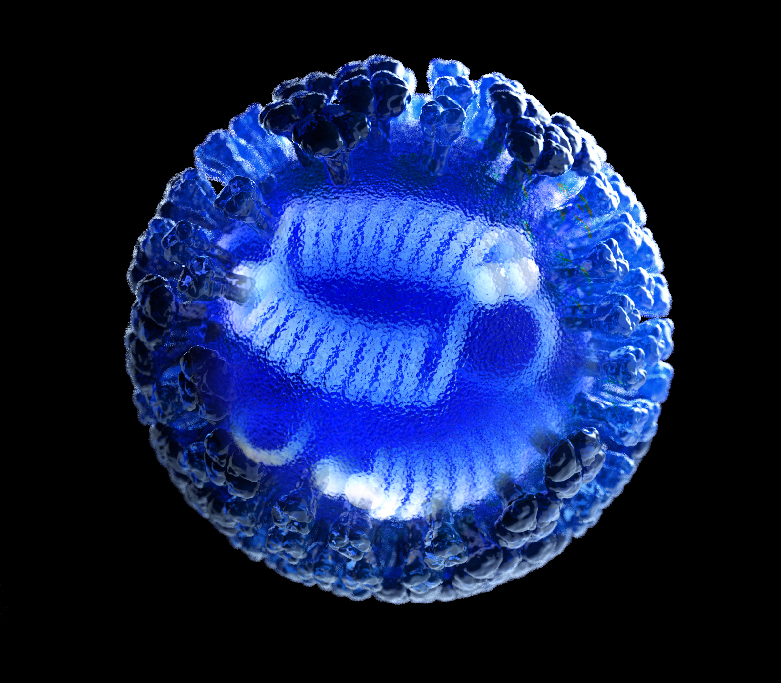 3D computer-generated rendering of the influenza virus