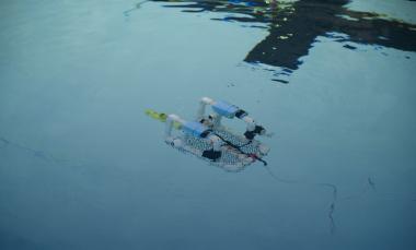 Underwater robot in pool