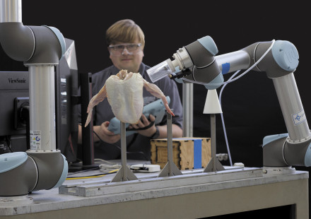 GTRI research engineer Konrad Ahlin operates a collaborative robot arm to automatically load a chicken carcass onto a cone, demonstrating a poultry processing task that could potentially benefit from robotics. (Credit: Steven Thomas)