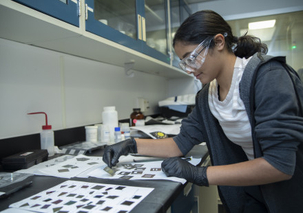 A high school summer intern works on a project in a lab (Photo credit: Christopher Moore).