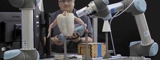 Konrad Ahlin with a "cone-loading" robot, a breakthrough in poultry technologies.