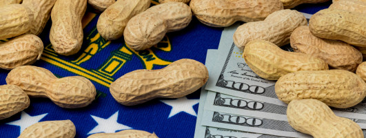 Peanuts and money atop a Georgia flag