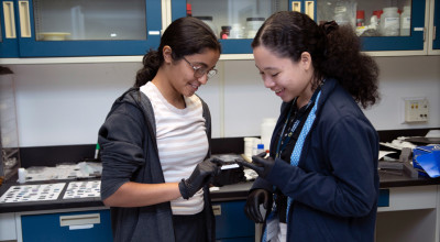 STEM Interns
