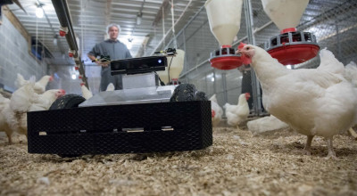 A-GTRI-robot-navigates-its-way-through-a-chicken-grow-out-house-to-search-for-eggs-and-monitor-conditions-for-the-flock-photo-credit-Branden-Camp-Georgia-Tech-Research-Institute