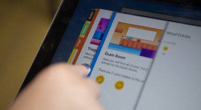 This-photo-shows-screens-of-the-passport-app-being-used.