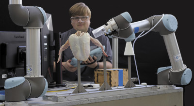 GTRI research engineer Konrad Ahlin operates a collaborative robot arm to automatically load a chicken carcass onto a cone, demonstrating a poultry processing task that could potentially benefit from robotics. (Credit: Steven Thomas)