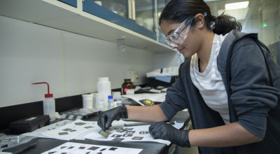 A high school summer intern works on a project in a lab (Photo credit: Christopher Moore).